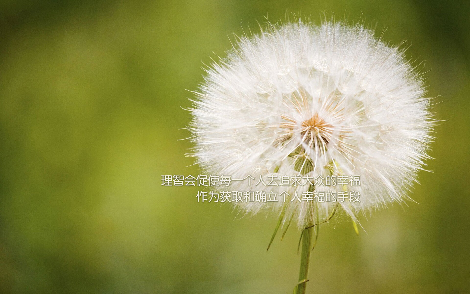 国足得分环节执行力评分模型，足球 赛后评分
