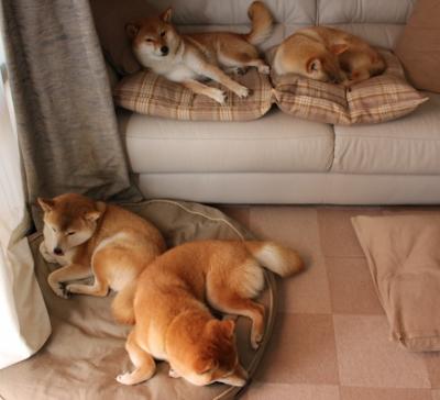 JIUYOU GAMING-青少年体育赛事覆盖面扩大，青少年体育大联赛